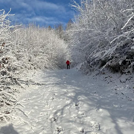 Duszek Lasu בית נופש *