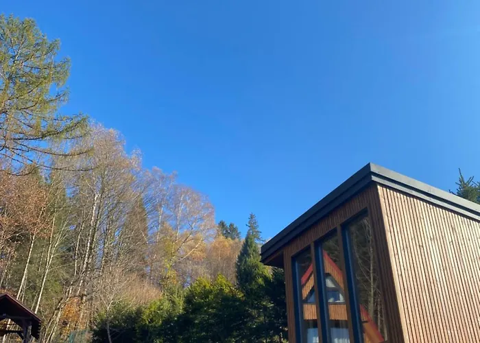 בית נופש Duszek Lasu *