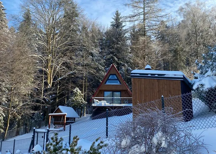 Duszek Lasu בית נופש *