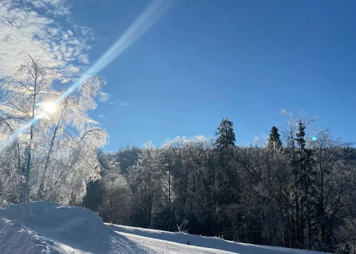 Duszek Lasu * ברנה
