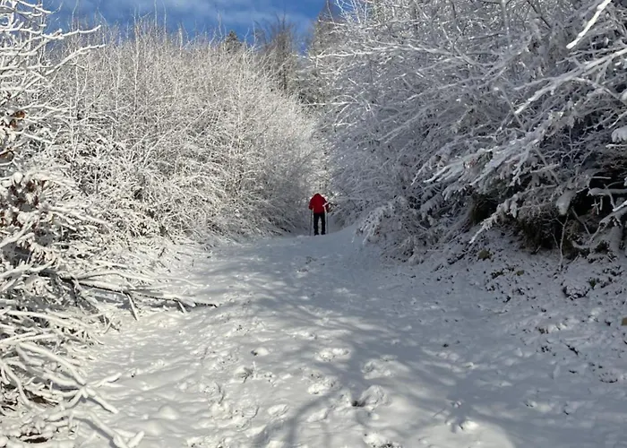 Duszek Lasu בית נופש *