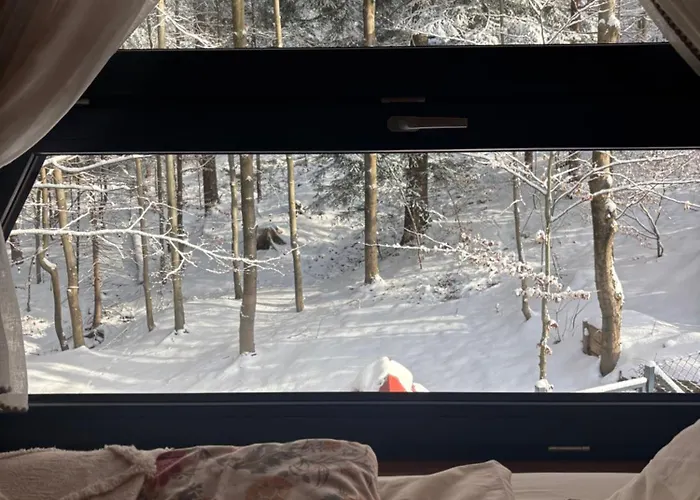 Duszek Lasu ברנה